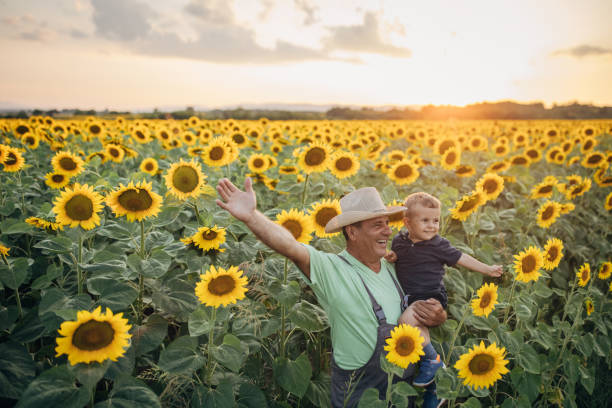 Sunflower oil suppliers in Ukraine